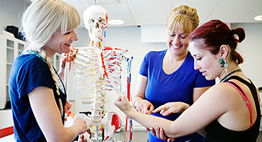Tillämpad anatomi och fysiologi i undervisningen till hälsoutvecklare och personlig tränare | Jakobsbergs folkhögskola